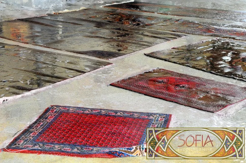 Teppichwäsche aus dem Galeriearchiv Sofia – Aufnahme 3
