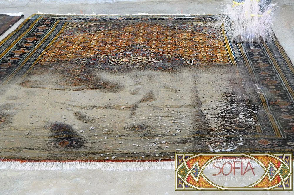 Teppichwäsche aus dem Galeriearchiv Sofia – Aufnahme 10