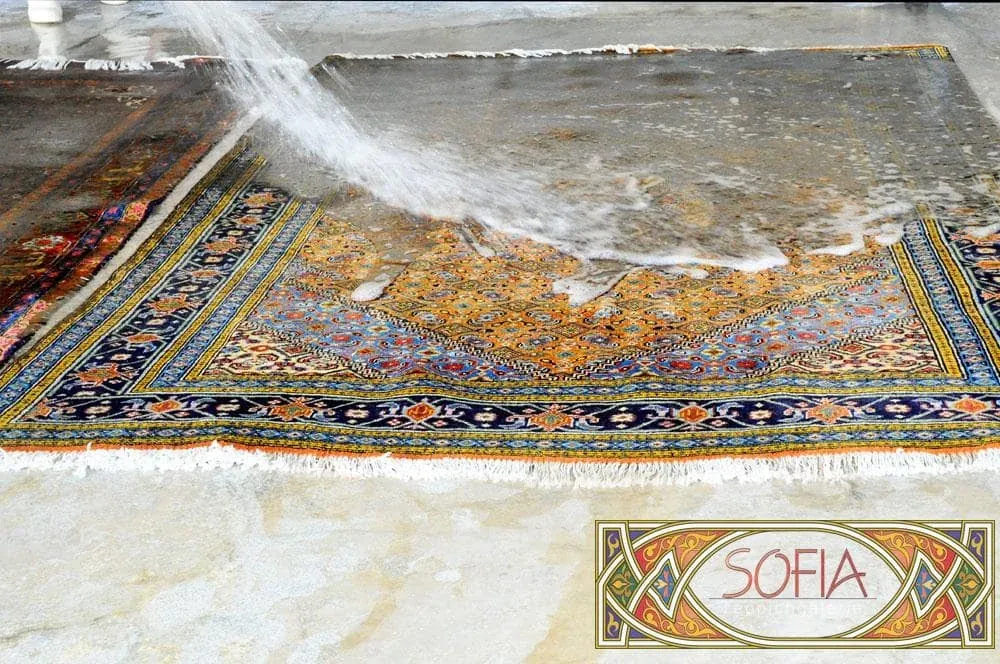 Ein Teppich wird bei der Handwäsche gründlich mit Wasser gespült